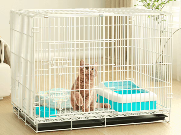 Portable & Foldable Cat Cage – Lightweight Indoor Crate for Kittens and Small Cats, Easy Storage