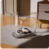 Large Transparent Space Capsule Cat & Dog House – Easy-Clean Plastic Pet Pod with Hideout Entrance