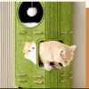 3D Felt Multi-Layer Cat Cave Bed – All-Season Breathable Tree Hollow-Style Pet Nest & Playhouse