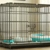 Portable & Foldable Cat Cage – Lightweight Indoor Crate for Kittens and Small Cats, Easy Storage