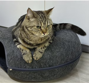 3ad103c60a18315f52ec45d7a11956b Felt Donut Tunnel Cat Bed – All-Season Hideout for Pets and Stray Cats – Summer Friendly