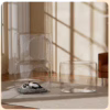 Large Transparent Space Capsule Cat & Dog House – Easy-Clean Plastic Pet Pod with Hideout Entrance