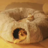 New Fluffy Cat– Foldable Warm Tunnel House for Fall & Winter