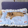 Cute Cartoon Pet Sleeping Pad – Soft All-Season Cushion Mat for Cats & Small Dogs, Kneading & Napping Bed
