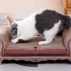 Vintage - Style Pet Sofa: A Cozy Nest for Your Feline
