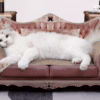 Vintage - Style Pet Sofa: A Cozy Nest for Your Feline