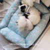 Adorable Dog Print Pet Bed: Soft Cushion for Furry Friends