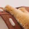 Cat Butler Cat Haven: Fun - filled Holes and a Cozy Spot for Your Feline Friend