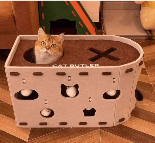 Cat Butler Cat Haven: Fun - filled Holes and a Cozy Spot for Your Feline Friend