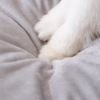 All-Season Cat Cradle Bed – Semi-Enclosed Pet House for Cats