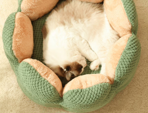 Winter Cactus-Shaped Pet House – Thick Plush Cat Bed, Warm Dog Nest & Cushion for Cold Weather