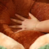 Winter Cactus-Shaped Pet House – Thick Plush Cat Bed, Warm Dog Nest & Cushion for Cold Weather